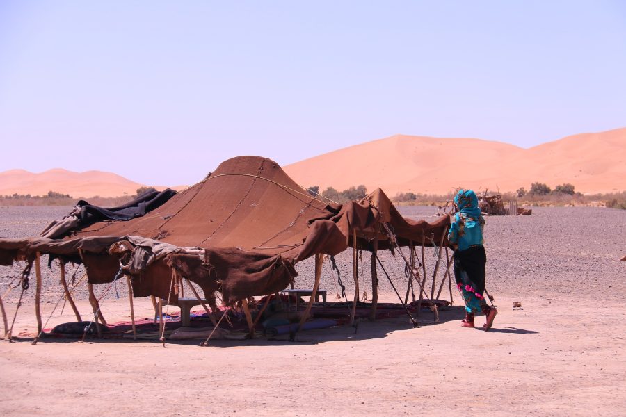 Tea with Nomads Desert Tour