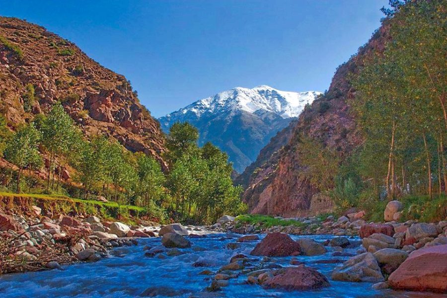 Ourika Valley Trip with Waterfalls Hike & Lunch