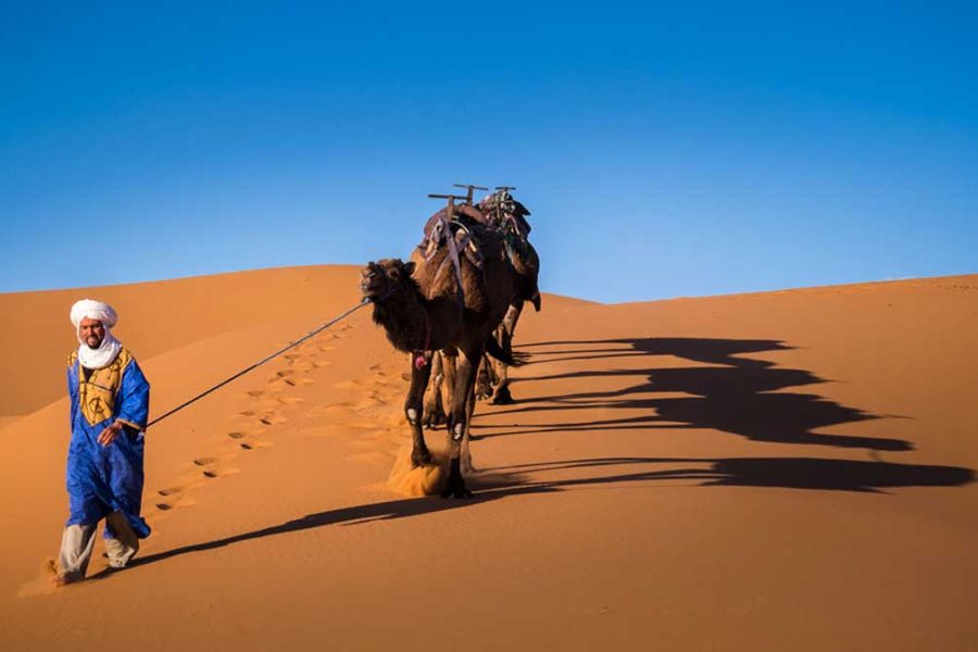 Merzouga desert