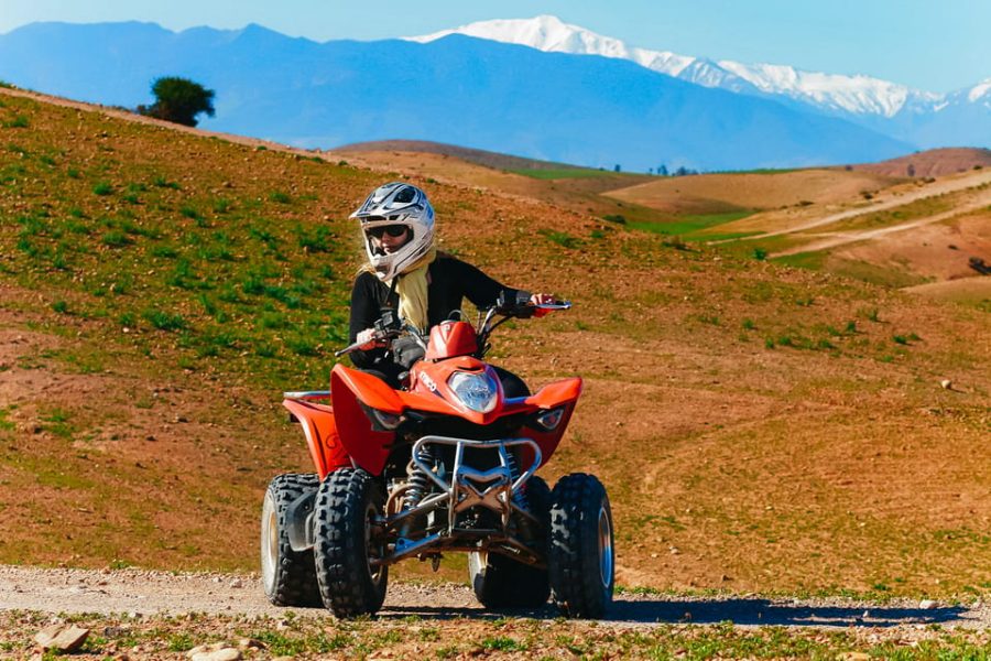 Quad Bike Tour to Palm Oasis and Jbilat Desert